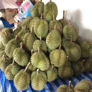 FRESH DURIAN - HIGH QUALITY VS COMPETITIVE PRICE/FROZEN DURIAN