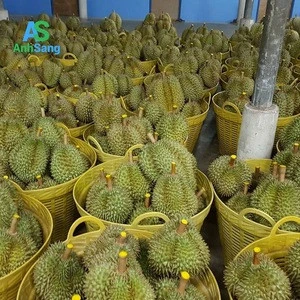 Fresh durian in the fruit kingdom of Tien Giang