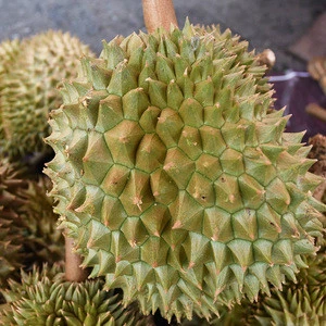 Fresh Durian Monthong Durian From Thailand