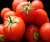 Import fresh Egyptian tomato high quality (A) from Philippines