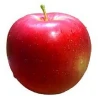 Fresh Fuji Apple Fruit, red Fuji apples, fresh custard apple fruit/delicious apple fruit/mature apples fruit