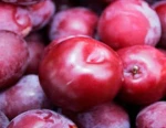 FRESH PLUM WITH THE BEST PRICE & PREMIUM QUALITY