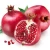 Import Fresh Pomegranate from South Africa