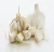 Import Fresh Pure White Normal White garlic supplier in China from China