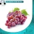 Import Fresh Red Grapes Crimson Seedless best price from Egypt