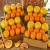 Import Fresh Valencia Orange Fruits For sale, Cheap Oranges For Sale from South Africa