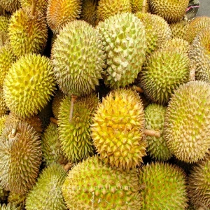 Frozen Durian