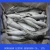 Import frozen IQF horse mackerel fish seafood from China