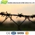 Import galvanized barbed wire/razor weight barbed wire from China
