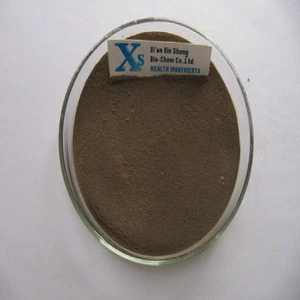 GMP Natural High Quality Propolis Powder