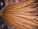 Golden Burdock/fresh Burdock