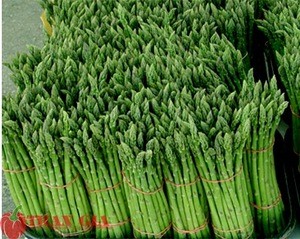 Good price high quality fresh green asparagus