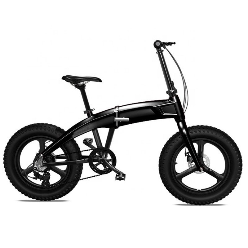 Good Quality E-Bike, Electric Bike with Magnesium Wheel (ML-FB004)