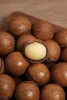 Good Supplier Dried Macadamia Nuts
