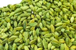 Green Cardamom Premium Whole Large Green Cardamom Fresh Quality
