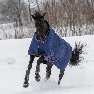 Harness racing horse for outdoor