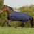 Import Harness racing horse for outdoor from China