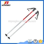 Heated ski pole grip carbon ski poles ski pole tip