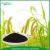 Import High Alga ascophyllum nodosum water soluble fertilizer from China