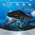 Import High Power Coral Reef Led Aquarium Light Saltwater Light from China