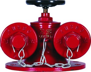 High Pressure SSN50 Rotary Type And Steadying Indoor fire hydrant list