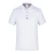 Import High Quality 100% Cotton Polo Shirts Custom Design Polo Shirts Comfortable Breathable Blank Men Polo T-shirt from China