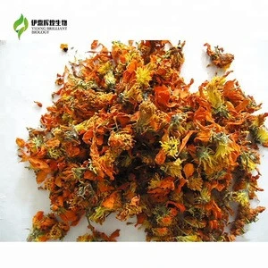 High quality all natural Herbal medicine Red daisy Lower blood pressure and blood lipids Medicinal value