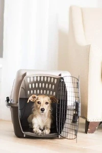 High Quality Cheap Plastic Pet Carrier/Pet Flight Cage/Dog Transport Box travel bag pet
