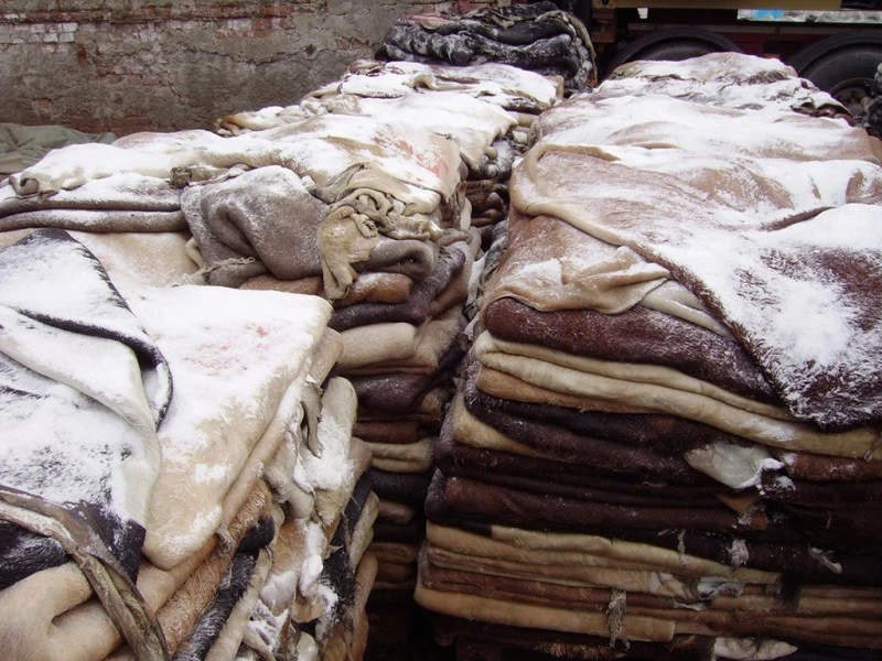 High Quality Dry And Wet Salted Donkey/Wet Salted Cow Hides /Cow Head Skin