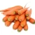 Import High Quality Fresh Carrot From China from China