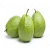 Import High Quality Fresh Guava USA from China
