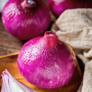 High quality fresh new crop red onion