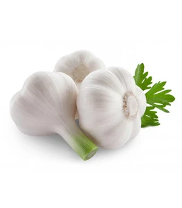 High Quality Organic Aged Garlic Extract Wholesale