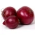 Import High Quality Red Fresh Onion Export from India