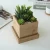 Import Home Garden balcony Square Flower Succulent Bamboo Planter Pot from China