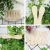 Import Hot sale disposable Eco-Friendly Wooden ice cream scoop from China