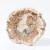 Import Hot Sale Petrified Wood Natural Raw Fossil Stone For Home Decoration from China