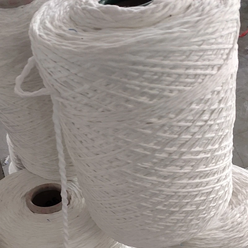 Hot Sale Virgin Polyester Mop Yarn 8ply Colored in best price