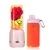 Import Hot sell personal mini rechargeable USB smoothies electric juicer cup portable blender from China