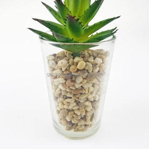 hot sell succulent plants bonsai  artificial plant  wholesale faux plant glass pot