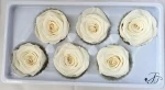 Hot Selling 5-6cm Peach Pink Preserved Fresh Roses Flowers for Wedding Decoration