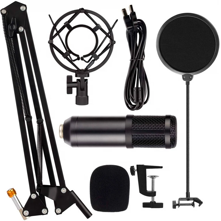 Hot selling studio microphone  professional portable recording microphone