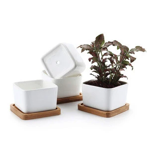 Hot Selling White Ceramic Flower Pot with Bamboo Tray Garden Mini Succulent Container