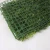 Import Hotsale outdoor uv resistant nontoxic wall plants artificial  Simulated plant background wall from China