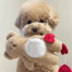 INS latest Korean cute bears plush toys pet interactive squeaky toys dog cat sleeping toys and accessories