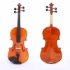 Intermediate European Material maple Violin