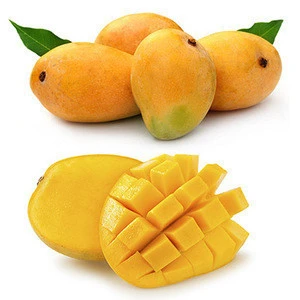 IQF frozen mango dice wholesaler from India