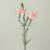 Import Kunming Dounan Flower Center Direct Sale Cut Fresh Flowers Wholesale Spray Carnation from China