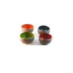 Lacquer Coconut Bowl