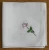 Import Ladies&#x27; white handkerchief with flower embroidery from China
